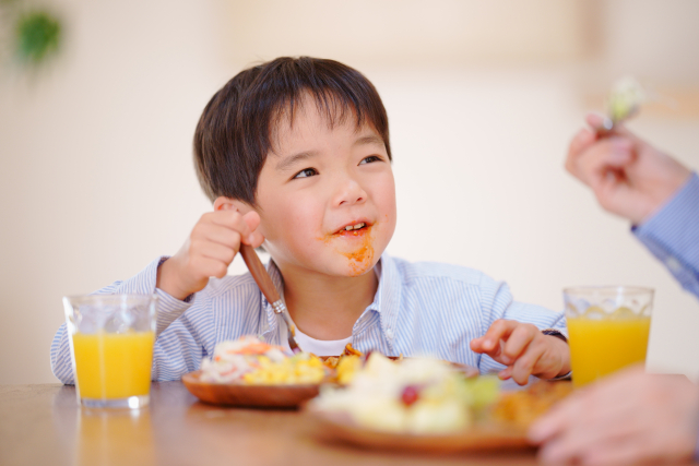 久宝寺の幼児食・離乳食の宅配食材サービス